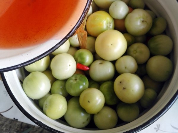 Как вкусно и просто засолить зелёные помидоры на зиму