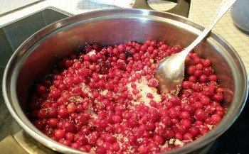 Яркий брусничный пирог: дрожжевой, песочный, простой, с кремом
