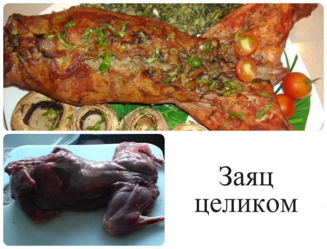 Как приготовить зайца – 7 рецептов в домашних условиях