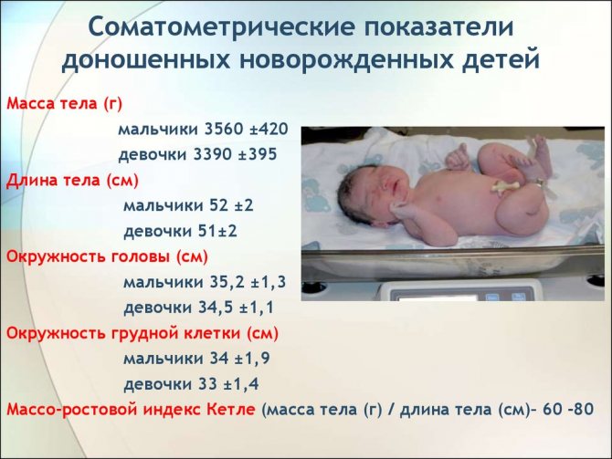 С какой недели плод уже считается жизнеспособным, и ребенок может выжить при родах?