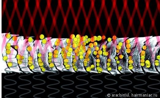 Лучшие салонные процедуры для волос – самые полезные и эффективные