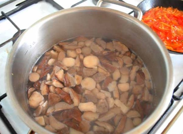 Грибной суп из замороженных грибов — 10 самых вкусных рецептов