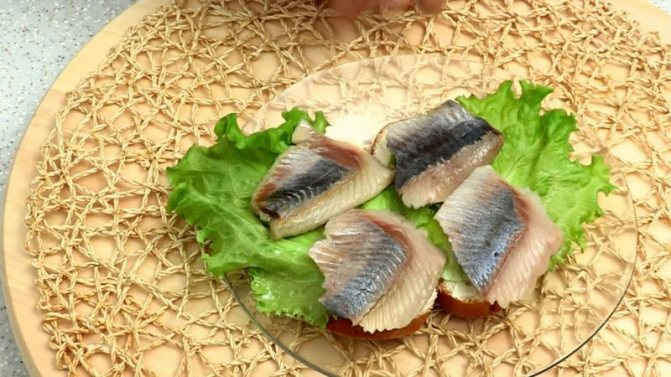 5 вкусных рецептов засолки рыбы в домашних условиях
