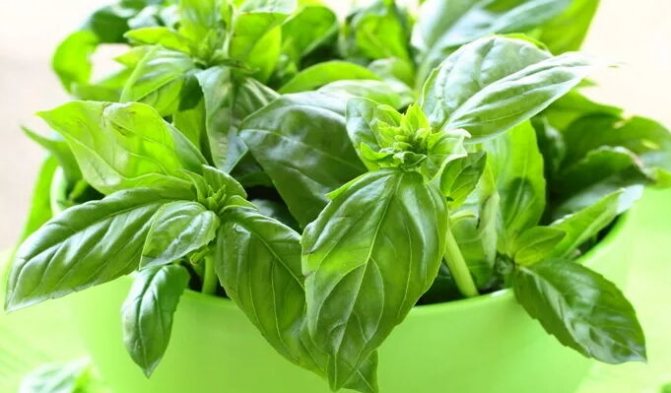 Начинки для пиццы с колбасой, грибами, курицей, фаршем, солеными огурцами, морепродуктами. Рецепты с фото в духовке