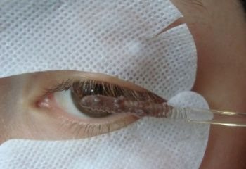 Какая краска для бровей лучше: отзывы профессионалов, производители и состав