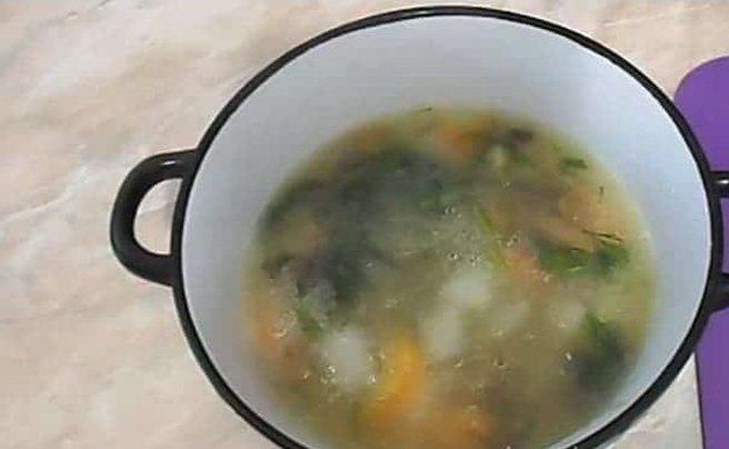 Грибной суп из замороженных грибов — 10 самых вкусных рецептов