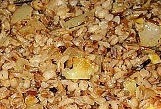 Грибной суп из замороженных грибов — 10 самых вкусных рецептов