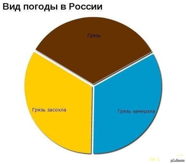 Экокожа: что это за материал для обуви, курток, сумок и как ухаживать в домашних условиях