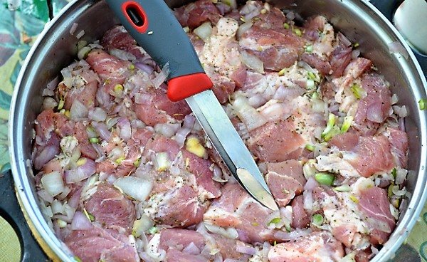 Какое мясо выбрать для шашлыка, как его правильно замариновать и пожарить