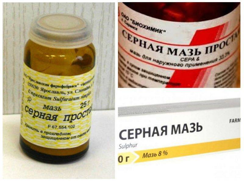 Лечение вшей и гнид в домашних условиях – как и чем можно вылечить педикулез