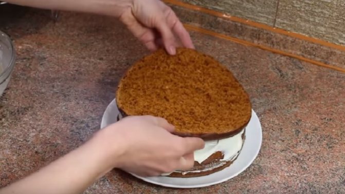 Торт Медовик — 7 классических рецептов в домашних условиях