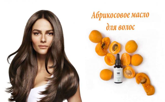 Масло из абрикосовых косточек – состав, свойства и применение
