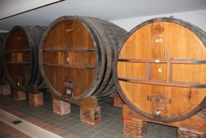Белое бургундское вино и другие знаменитые вина Франции