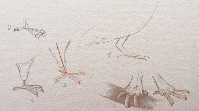 33 тату голубь: значение и красивые эскизы рисунков с птицей