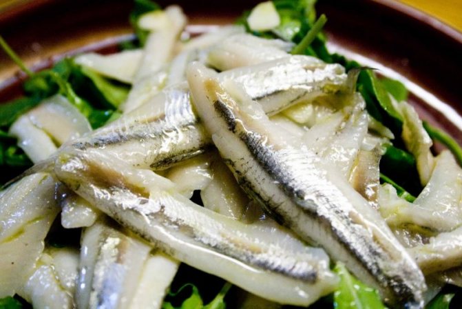 5 вкусных рецептов засолки рыбы в домашних условиях