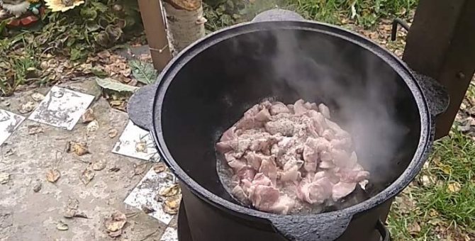 7 рецептов чахохбили из курицы: от классики к экспериментам