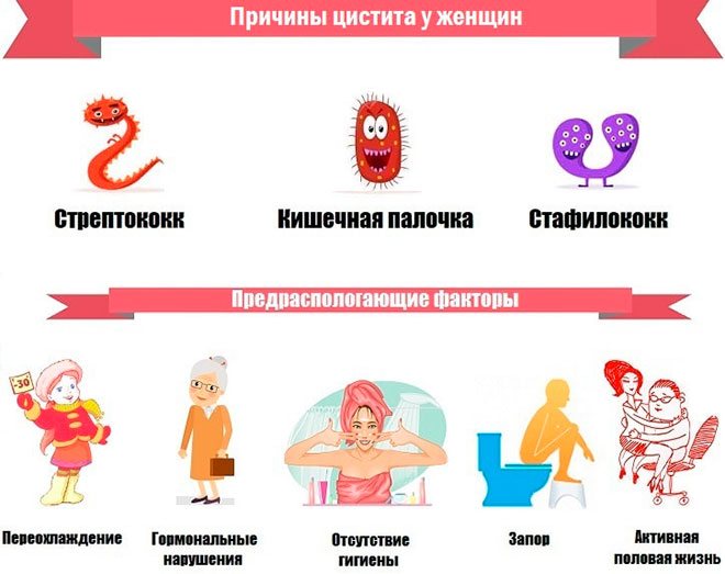 ЭКО и рак — есть ли связь, или очередные народные мифы?