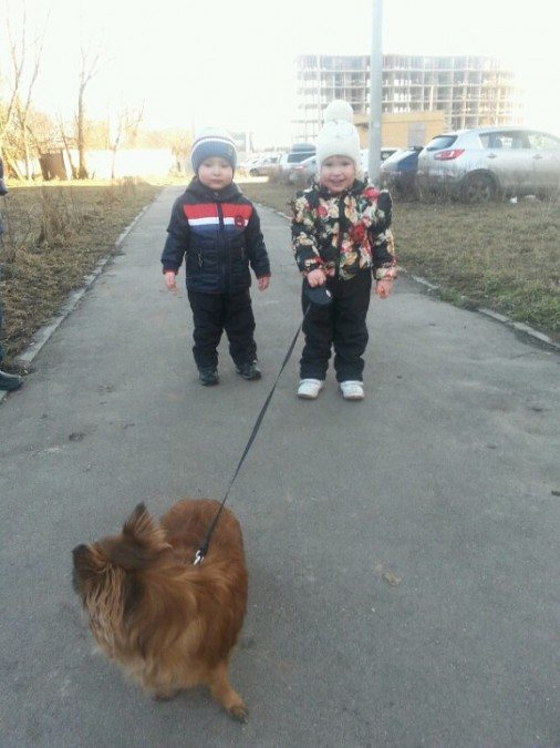 7 замечательных идей, как провести выходные с семьей!