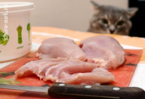 Диетическая куриная грудка на сковороде. Как приготовить куриную грудку сочно