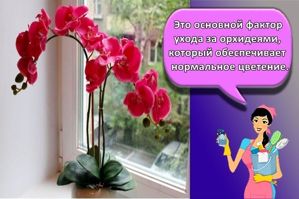 Это основной фактор ухода за орхидеями, который обеспечивает нормальное цветение.