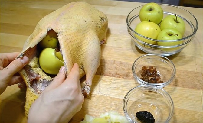 фаршируем утку яблоками, изюмом и черносливом