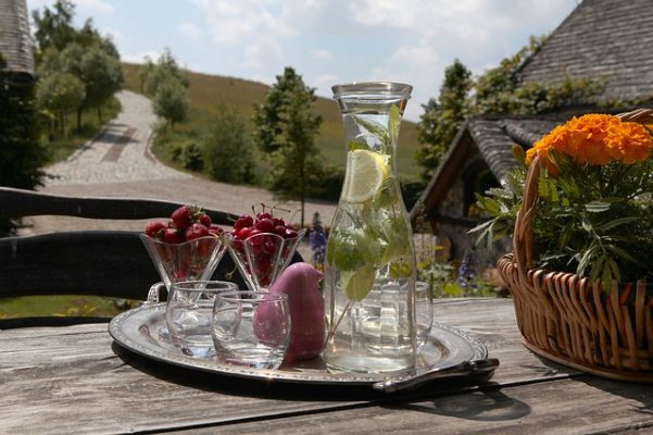 Самые популярные диеты анорексичек, как быстро и эффективно похудеть?