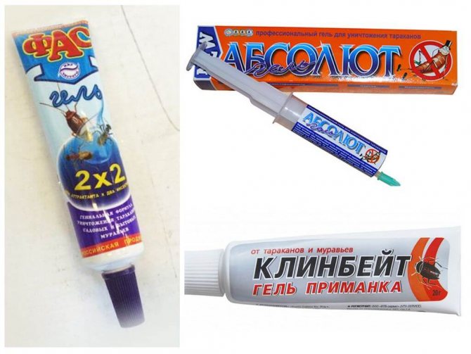 Как избавиться от мокриц в квартире самостоятельно