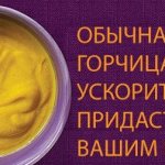 горчица