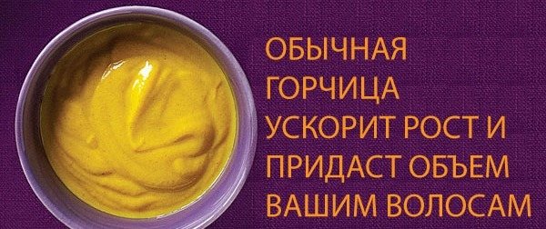горчица
