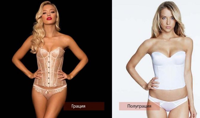 Современные виды нижнего женского белья: особенности кроя и рекомендации по выбору
