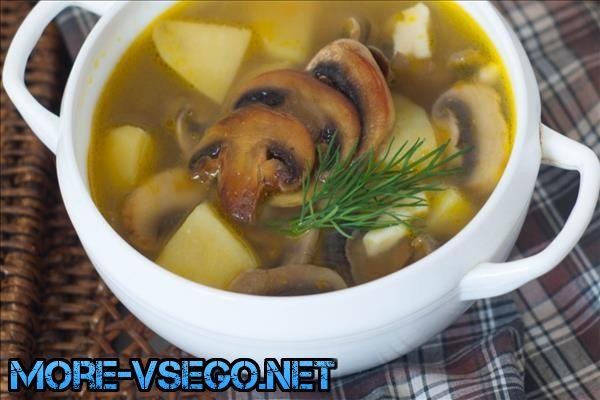 Грибной суп из сушеных грибов – 10 самых вкусных рецептов