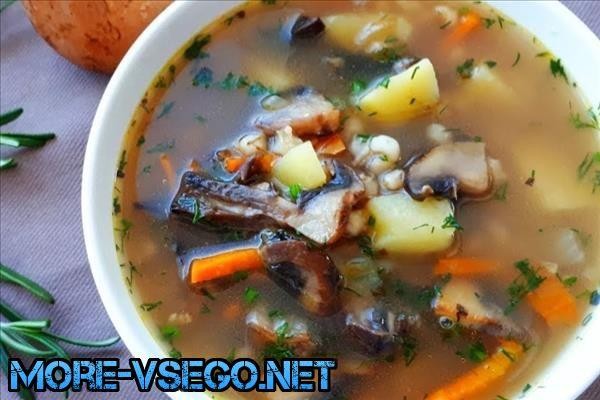 Грибной суп из сушеных грибов – 10 самых вкусных рецептов