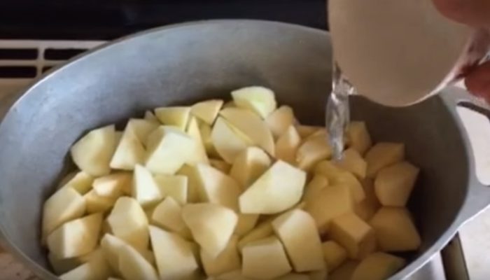Пастила из яблок в домашних условиях: простые пошаговые рецепты