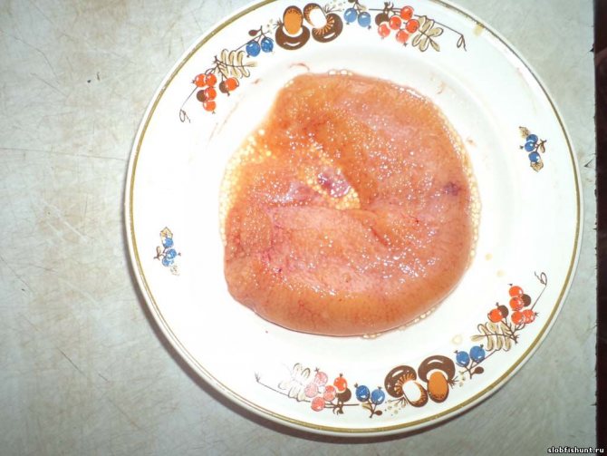 Вкусные рецепты, как посолить икру щуки в домашних условиях