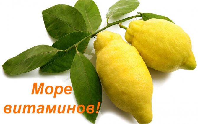 Как похудеть с помощью лимона
