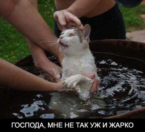 Как продлить чистоту волос. Продлить свежесть жирных волос: легкий способ 02