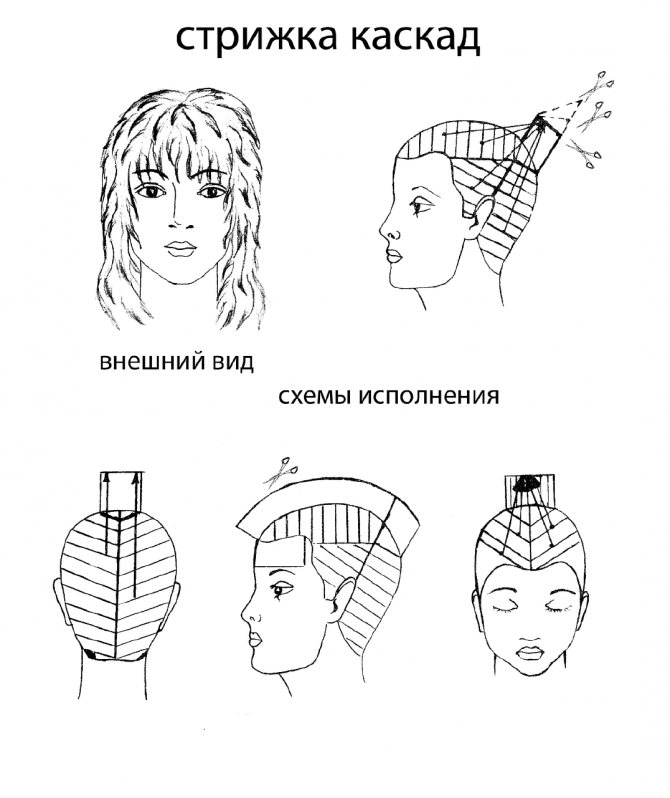 Стрижка каскад на короткие волосы, женская без челки. Новинки 2020, фото, вид сзади и спереди