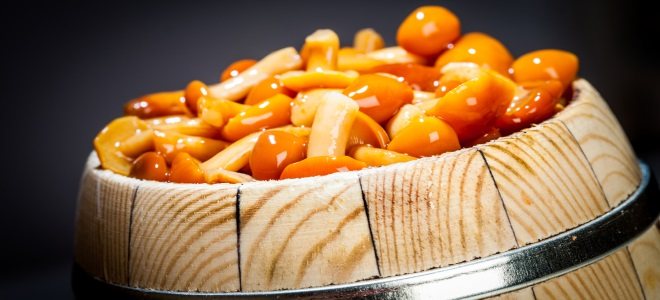 Соление грибов в домашних условиях на зиму в банках