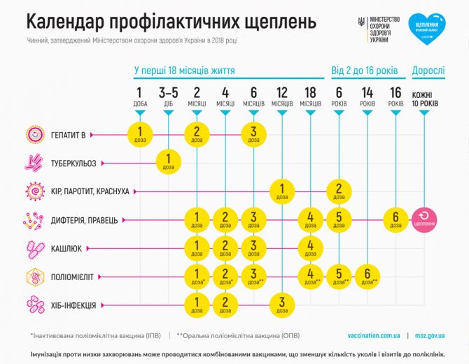 Как понять, что вы нравитесь мужчине? 10 признаков флирта