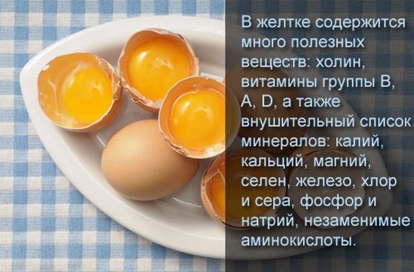 Калорийность куриного яйца: сырое, вареное, жареное, категории, польза и вред, состав БЖУ, пищевая ценность. Диеты