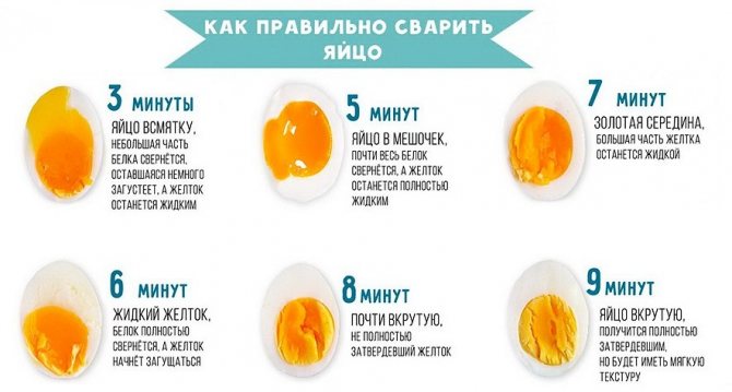 Как варить яйца? Секреты идеально вареных яиц, лайфхаки