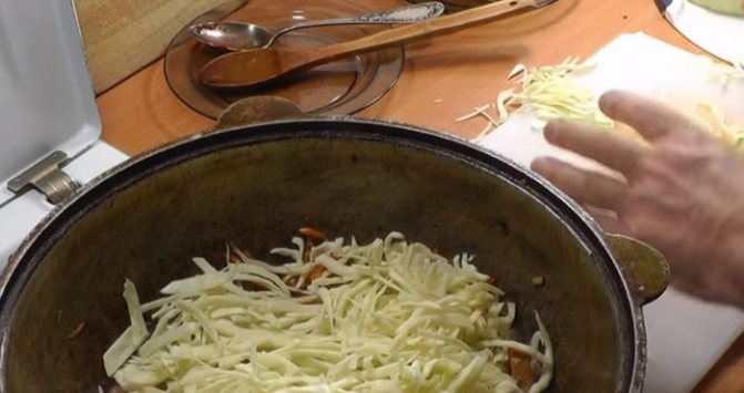 Капусту мелко нашинковать и добавить к мясу