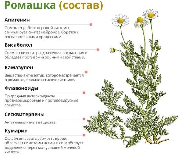 Кора дуба для волос. Польза, как пользоваться для ополаскивания от выпадения, окрашивания. Отзывы