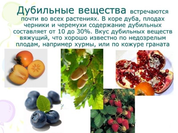 Кора дуба для волос. Польза, как пользоваться для ополаскивания от выпадения, окрашивания. Отзывы