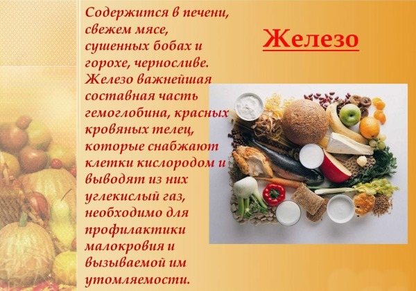Кора дуба для волос. Польза, как пользоваться для ополаскивания от выпадения, окрашивания. Отзывы