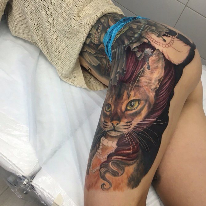 Кошечка