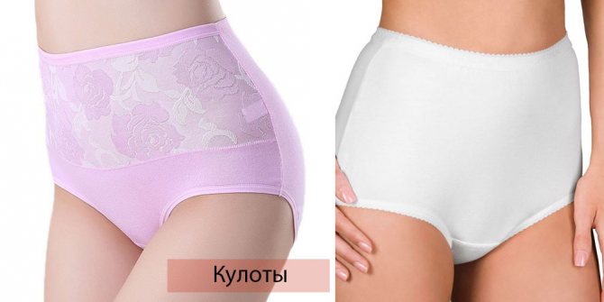 Современные виды нижнего женского белья: особенности кроя и рекомендации по выбору