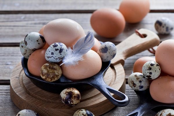 Куриные и перепелиные яйца