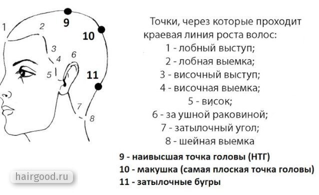 Выпадение волос у мужчин. Причины, средства, профилактика
