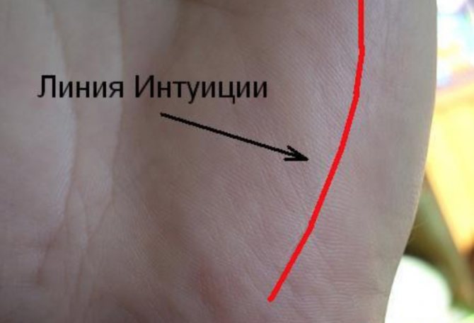Линия интуиции